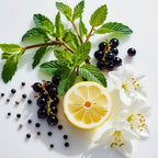 Mint, lemon, jasmine and blackcurrants represent the olfactory notes of the perfume.