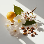 Cherry blossom and tonka bean representing the olfactory notes of the perfume.