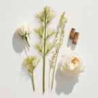 Angelica and tuberose representing the olfactory notes of the perfume.