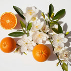 Jasmine and orange representing the olfactory notes of the perfume.