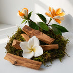 Olfactory notes of the perfume with radiant magnolia, creamy frangipani and the enveloping warmth of sandalwood.