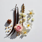 Olfactory notes of the perfume with luminous jasmine, enveloping vanilla and a spicy touch of star anise.