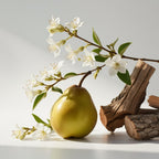 Pear, jasmine and wood representing the olfactory notes of the perfume.
