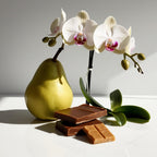 Pear, toffee and orange blossom representing the olfactory notes of the perfume.