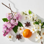 Orange blossom and jasmine representing the olfactory notes of the perfume.