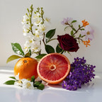 Olfactory notes of the perfume with vibrant grapefruit, juicy orange, deep rose and a bouquet of white flowers and violets.