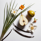 Pear, grass, orange blossom and vanilla representing the olfactory notes of the perfume.