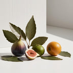 Fig and laurel representing the olfactory notes of the perfume.