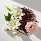 Lily, cocoa and jasmine representing the olfactory notes of the perfume.