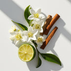 Jasmine, mock orange, and white musk represent the olfactory notes of the perfume.