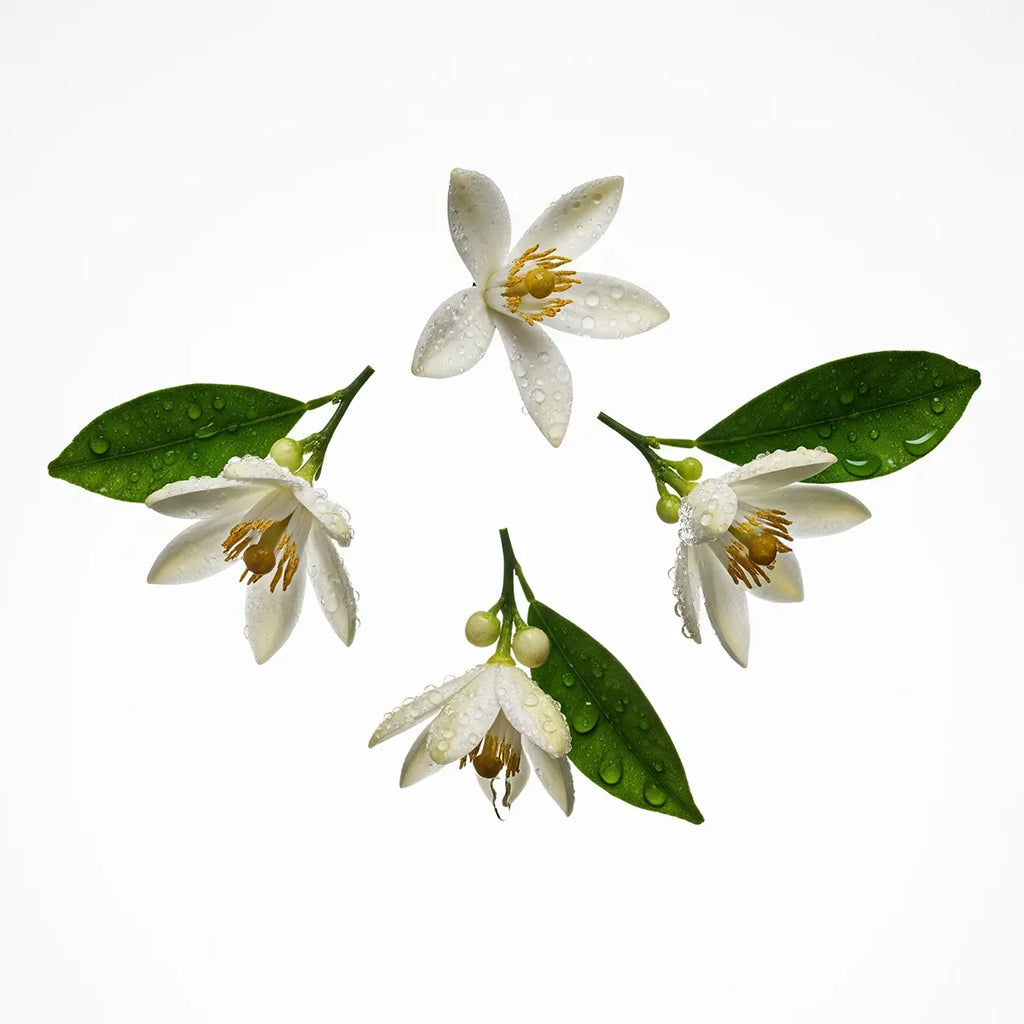 Olfactory notes of neroli perfume.