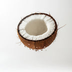 Olfactory notes of coconut perfume.