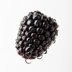 Olfactory notes of blackberry perfume.