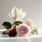 Rose and geranium representing the olfactory notes of the perfume.