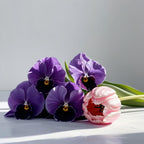 Tulips representing the olfactory notes of the perfume.