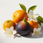 Fig and jasmine representing the olfactory notes of the perfume.