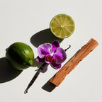 Bergamot, orchid, vanilla and cedar representing the olfactory notes of the perfume.