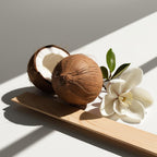 Coconut, magnolia and wood representing the olfactory notes of the perfume.