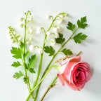 Aldehydes and rose represent the olfactory notes of the perfume.