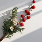 Cedar and raspberry representing the olfactory notes of the perfume.