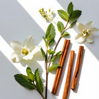 Mint and cinnamon representing the olfactory notes of the perfume.