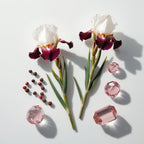 Ambroxan, pink pepper and musk representing the olfactory notes of the perfume.