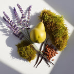 Pear, lavender and moss representing the olfactory notes of the perfume.